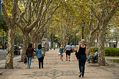 190916 Azores and Lisbon - Photo 0428
