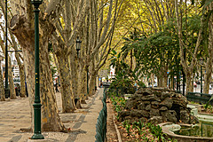 190916 Azores and Lisbon - Photo 0432