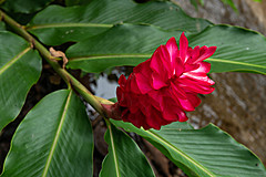 200202 Seychelles - Photo 0036