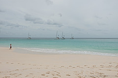 200202 Seychelles - Photo 0041