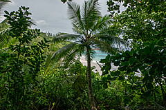 200202 Seychelles - Photo 0045