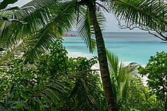 200202 Seychelles - Photo 0046