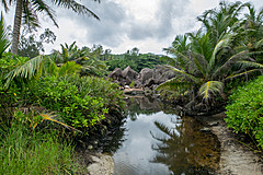 200202 Seychelles - Photo 0053