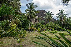 200202 Seychelles - Photo 0066