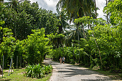 200202 Seychelles - Photo 0067