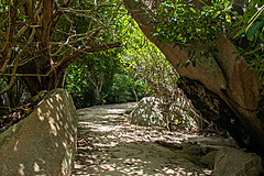 200202 Seychelles - Photo 0070