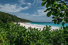 200202 Seychelles - Photo 0085