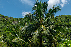 200202 Seychelles - Photo 0088