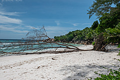 200202 Seychelles - Photo 0091