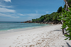 200202 Seychelles - Photo 0092