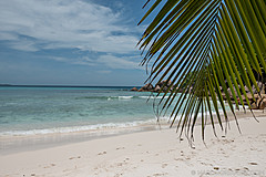 200202 Seychelles - Photo 0094