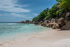 200202 Seychelles - Photo 0096