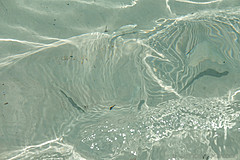 200202 Seychelles - Photo 0103