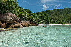 200202 Seychelles - Photo 0104