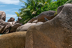 200202 Seychelles - Photo 0106