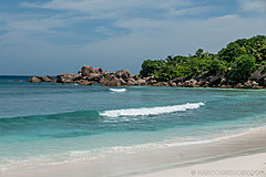 200202 Seychelles - Photo 0114