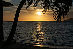 200202 Seychelles - Photo 0122