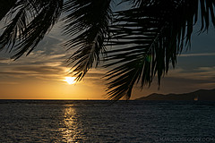 200202 Seychelles - Photo 0123