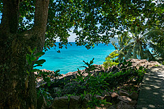 200202 Seychelles - Photo 0134