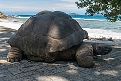 200202 Seychelles - Photo 0138