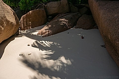 200202 Seychelles - Photo 0143