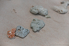200202 Seychelles - Photo 0147
