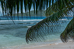 200202 Seychelles - Photo 0148