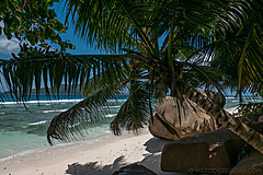 200202 Seychelles - Photo 0150