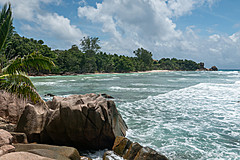 200202 Seychelles - Photo 0155