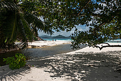 200202 Seychelles - Photo 0161