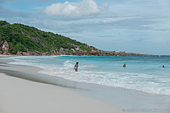200202 Seychelles - Photo 0163