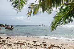 200202 Seychelles - Photo 0180