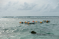 200202 Seychelles - Photo 0196
