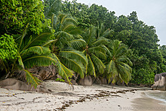 200202 Seychelles - Photo 0197