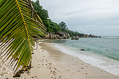 200202 Seychelles - Photo 0198