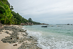 200202 Seychelles - Photo 0199