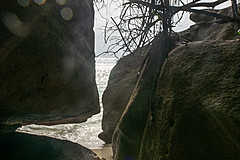 200202 Seychelles - Photo 0201