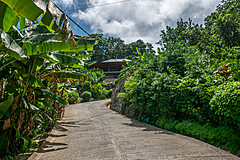 200202 Seychelles - Photo 0214