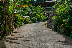 200202 Seychelles - Photo 0215