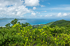 200202 Seychelles - Photo 0219