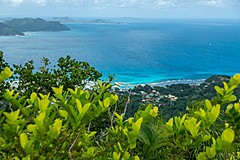200202 Seychelles - Photo 0220