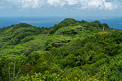 200202 Seychelles - Photo 0227