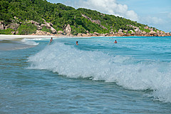 200202 Seychelles - Photo 0242