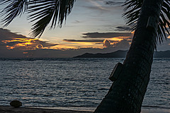 200202 Seychelles - Photo 0249
