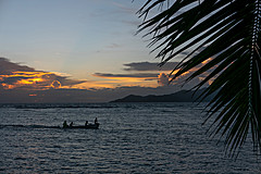 200202 Seychelles - Photo 0250
