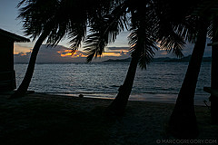 200202 Seychelles - Photo 0251