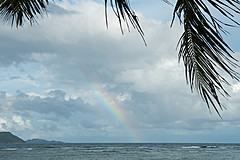 200202 Seychelles - Photo 0253