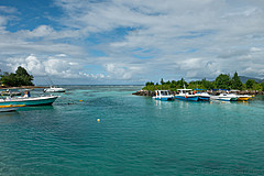200202 Seychelles - Photo 0254
