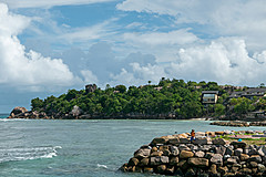 200202 Seychelles - Photo 0256