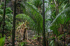 200202 Seychelles - Photo 0265